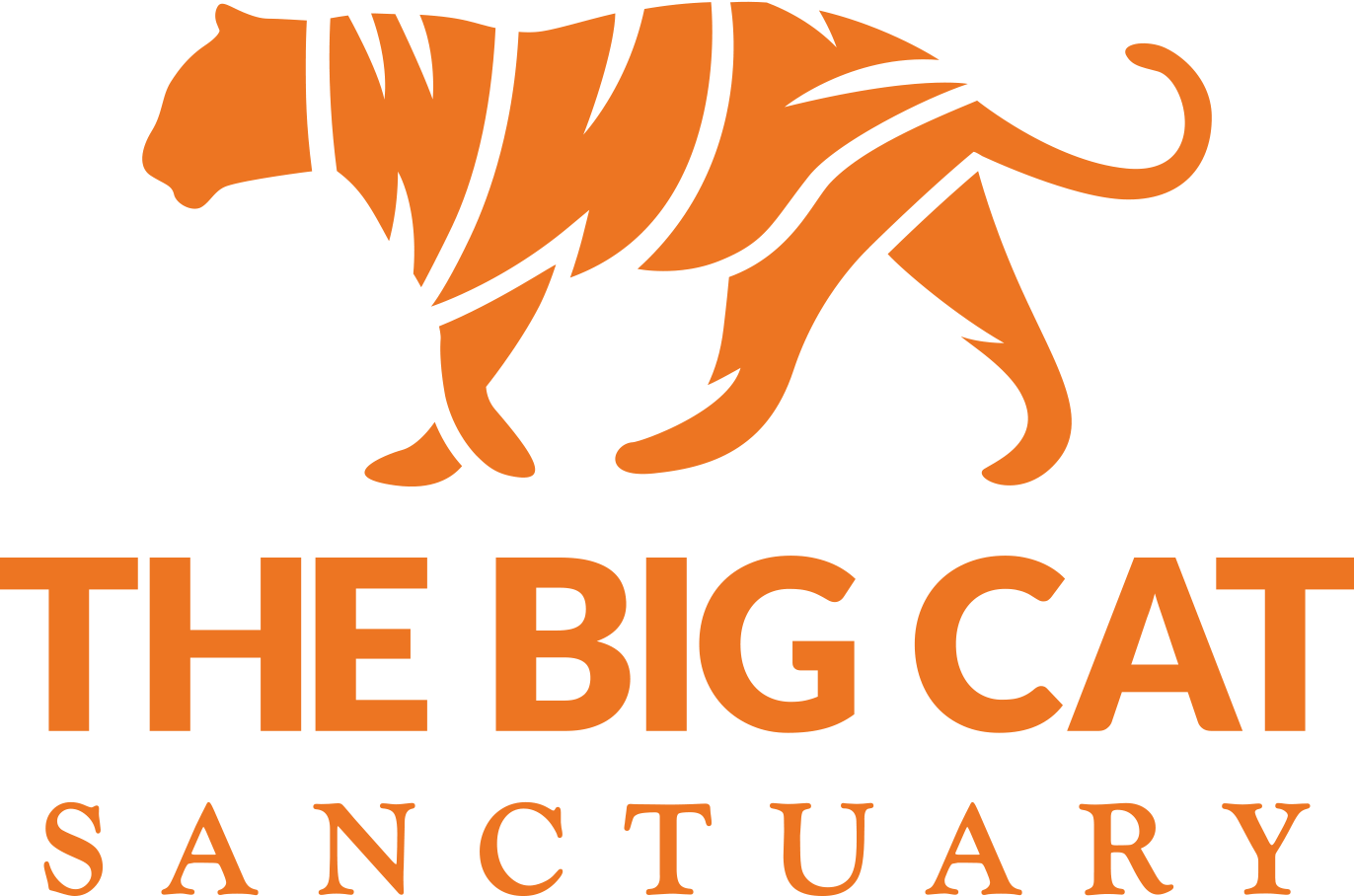 The Big Cat